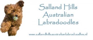 logo-salland-hills